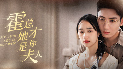 霍总，夫人说你才是替身