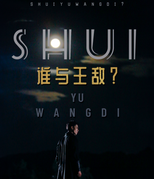 谁与王敌？