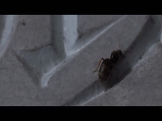 网飞版三体第一季-1080P