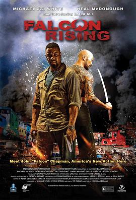 猎鹰突起 Falcon Rising