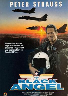 黑天使的坠落 Flight of Black Angel