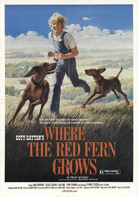 风雨夺标 Where the Red Fern Grows