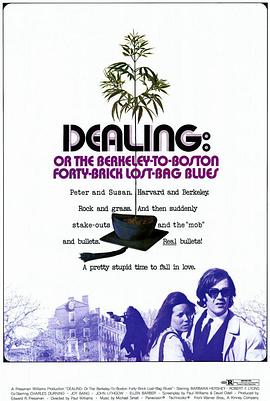 亡命追踪 Dealing: Or the Berkeley-to-Boston Forty-Brick Lost-Bag Blues