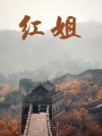 红姐2017