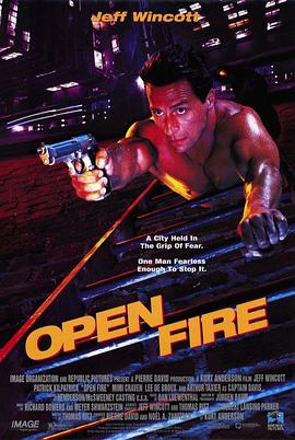 孤胆英雄 Open Fire