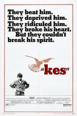 小孩与鹰 Kes