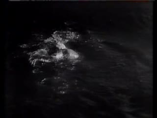 兰迪单枪匹马 480P(标清)