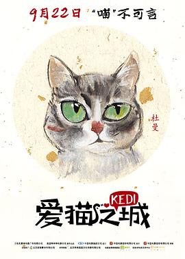 伊斯坦布尔
