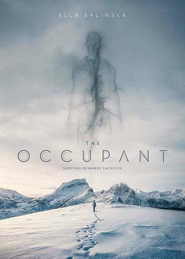 冻土潜行 The Occupant