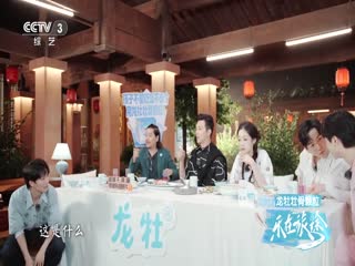 乐在旅途第二季