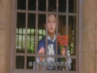 新乌龙院