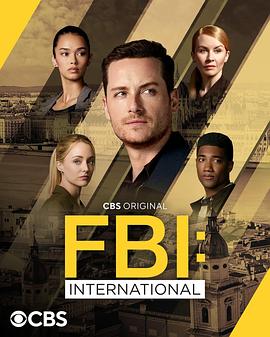联邦调查局:国际 第四季 FBI: International Season 4
