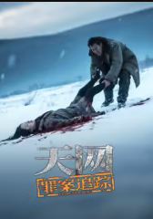 天网:罪案追踪