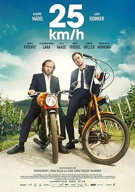 时速二十五 25 km/h