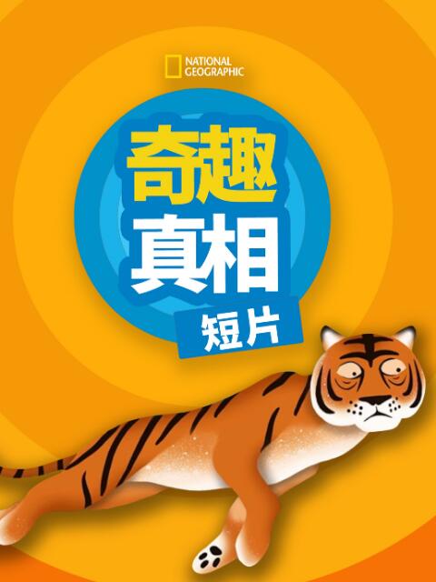 奇趣真相第一季